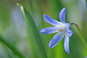 BUITEN BEELD Foto: 87788