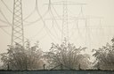 BUITEN BEELD Foto: 87878