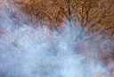 BUITEN BEELD Foto: 87907
