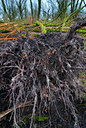 BUITEN BEELD Foto: 88107