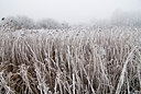 BUITEN BEELD Foto: 88141
