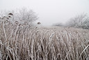 BUITEN BEELD Foto: 88144