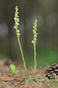 BUITEN BEELD Foto: 88146