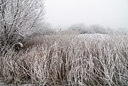 BUITEN BEELD Foto: 88148
