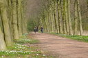 BUITEN BEELD Foto: 88176