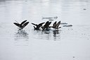 BUITEN BEELD Foto: 88226