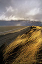 BUITEN BEELD Foto: 88231