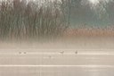 BUITEN BEELD Foto: 88238