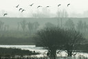 BUITEN BEELD Foto: 88243