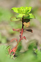 BUITEN BEELD Foto: 88376