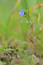 BUITEN BEELD Foto: 88400