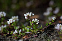 BUITEN BEELD Foto: 88445