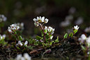 BUITEN BEELD Foto: 88446