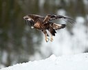 BUITEN BEELD Foto: 88493