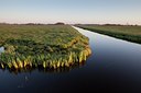 BUITEN BEELD Foto: 88517