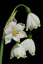 BUITEN BEELD Foto: 88548