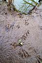 BUITEN BEELD Foto: 88550