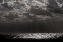BUITEN BEELD Foto: 88562