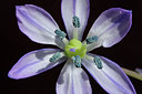 BUITEN BEELD Foto: 88671