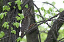 BUITEN BEELD Foto: 88690