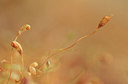 BUITEN BEELD Foto: 88732
