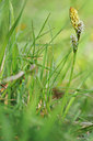 BUITEN BEELD Foto: 88810