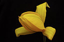 BUITEN BEELD Foto: 88858