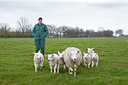 BUITEN BEELD Foto: 88913