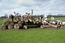 BUITEN BEELD Foto: 88915