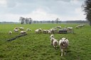 BUITEN BEELD Foto: 88920