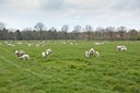 BUITEN BEELD Foto: 88921