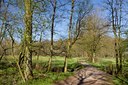 BUITEN BEELD Foto: 88939
