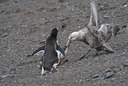 BUITEN BEELD Foto: 8043
