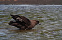 BUITEN BEELD Foto: 8047