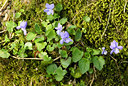 BUITEN BEELD Foto: 8164