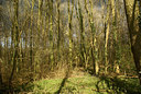 BUITEN BEELD Foto: 8168