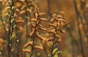 BUITEN BEELD Foto: 8208