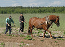 BUITEN BEELD Foto: 8409