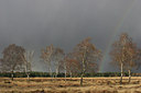 BUITEN BEELD Foto: 8645
