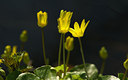 BUITEN BEELD Foto: 8652