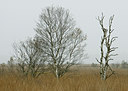 BUITEN BEELD Foto: 8654
