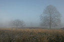 BUITEN BEELD Foto: 8673