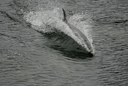 BUITEN BEELD Foto: 8709