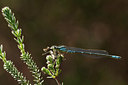 BUITEN BEELD Foto: 8767