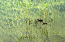 BUITEN BEELD Foto: 8907
