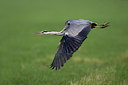 BUITEN BEELD Foto: 8970