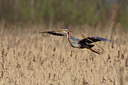 BUITEN BEELD Foto: 8976