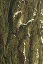 BUITEN BEELD Foto: 8993