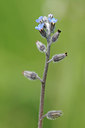BUITEN BEELD Foto: 89067