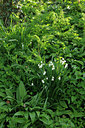 BUITEN BEELD Foto: 89085